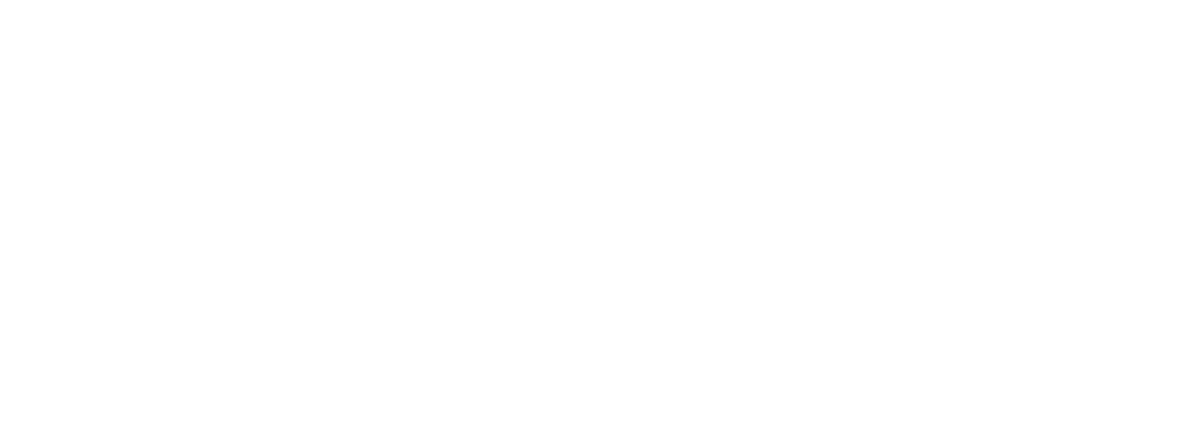 HETAO SUNFLOWER